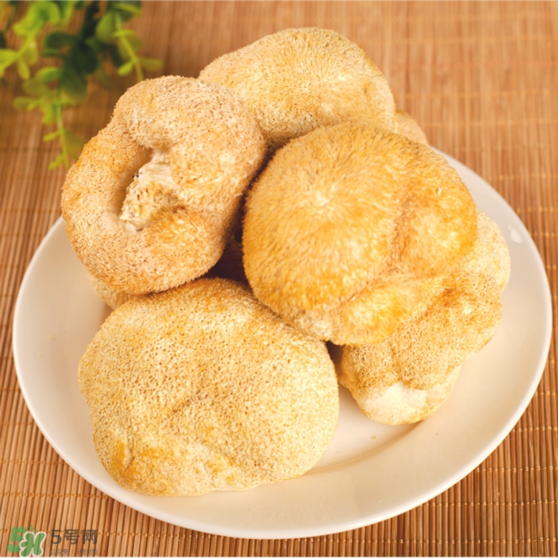 猴頭菇怎樣吃治胃?。亢镱^菇能治胃病嗎？