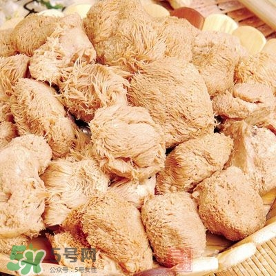 猴頭菇怎樣吃治胃?。亢镱^菇能治胃病嗎？