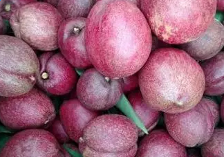 黑桃是什么水果？吃黑桃有什么好處？