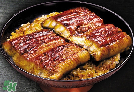 鰻魚飯熱量高嗎？鰻魚飯的熱量有多高