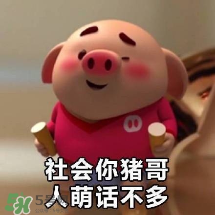 豬小屁表情包是什么？豬小屁表情包為什么這么火？