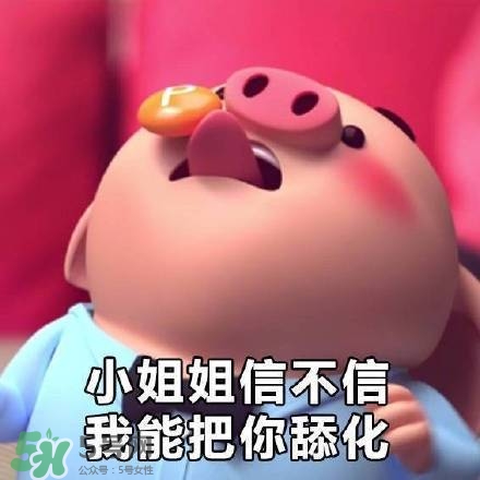豬小屁表情包是什么？豬小屁表情包為什么這么火？