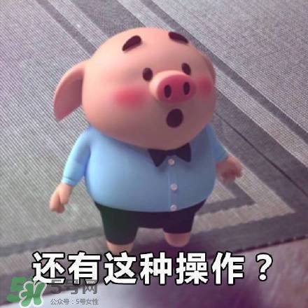 豬小屁表情包是什么？豬小屁表情包為什么這么火？