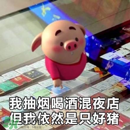 豬小屁表情包是什么？豬小屁表情包為什么這么火？