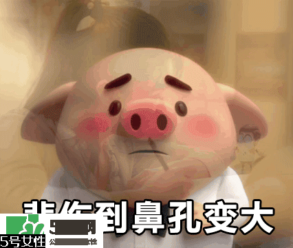 豬小屁多少錢一個？豬小屁哪里可以買到