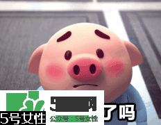 豬小屁多少錢一個？豬小屁哪里可以買到