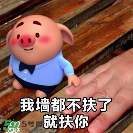 豬小屁多少錢一個？豬小屁哪里可以買到