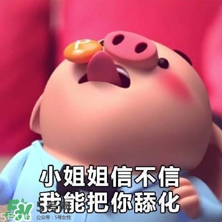 豬小屁多少錢一個？豬小屁哪里可以買到