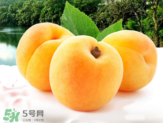 黃桃是酸性還是堿性？黃桃罐頭是酸性還是堿性？