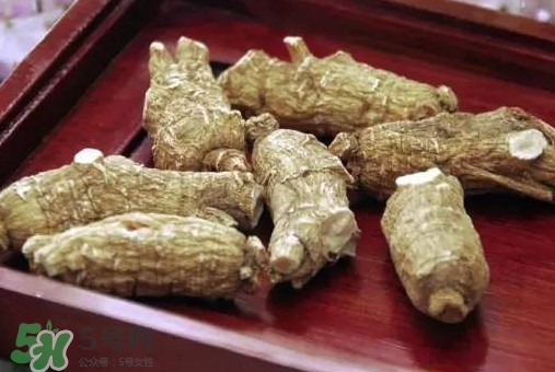 西洋參補(bǔ)腎嗎？西洋參適合什么季節(jié)吃
