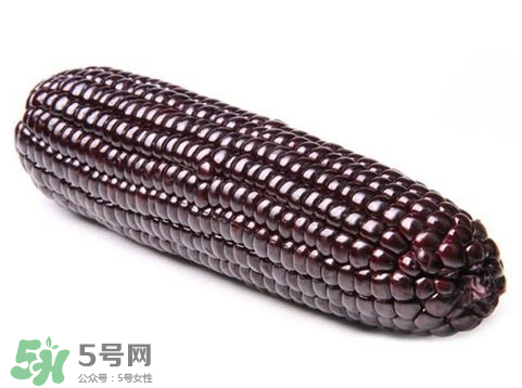 紫玉米會掉色嗎？紫玉米怎么會掉色？