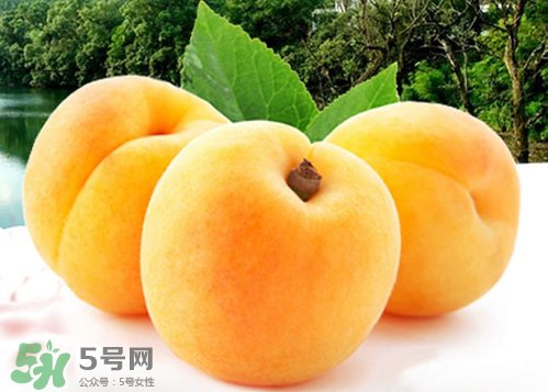 黃桃和水蜜桃哪個好吃？黃桃和水蜜桃的區(qū)別