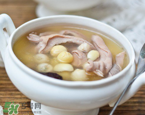 新鮮蓮子可以燉湯嗎？新鮮蓮子怎么煲湯？