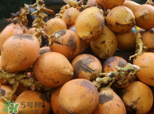 椰子什么時候成熟？椰子什么時候吃最好