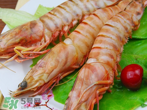 活的斑節(jié)蝦多少錢(qián)一斤？野生斑節(jié)蝦多少錢(qián)一斤