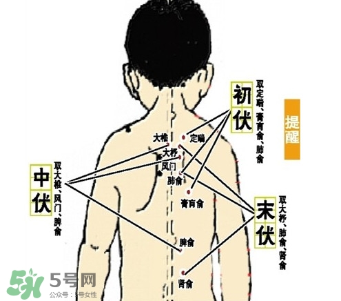 三九灸和三伏灸有什么區(qū)別？做完三伏灸要注意什么？