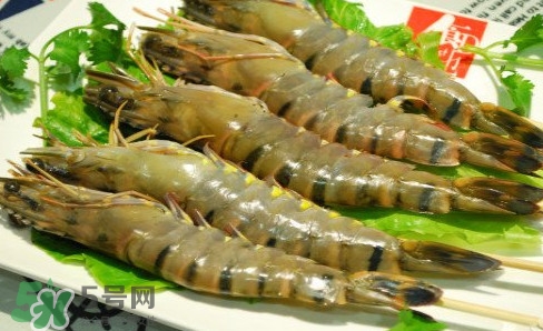 斑節(jié)蝦是九節(jié)蝦嗎？斑節(jié)蝦和九節(jié)蝦的區(qū)別
