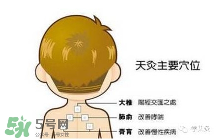 三伏灸灸哪里？三伏灸是每天都灸嗎