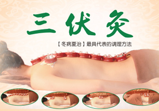 三伏灸灸哪里？三伏灸是每天都灸嗎