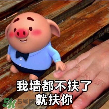 豬小屁表情包是什么？豬小屁表情包為什么這么火？