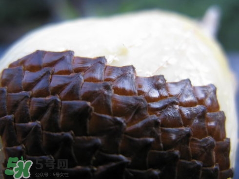 蛇皮果能生吃嗎？蛇皮果能放冰箱嗎？