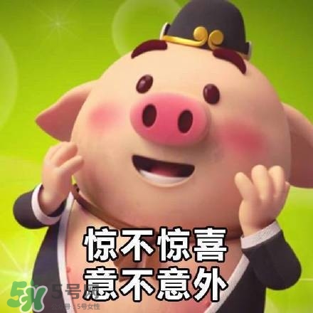豬小屁表情包是什么？豬小屁表情包為什么這么火？