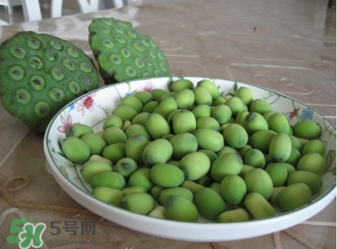 新鮮蓮子多少錢一斤？新鮮蓮子哪里有賣？
