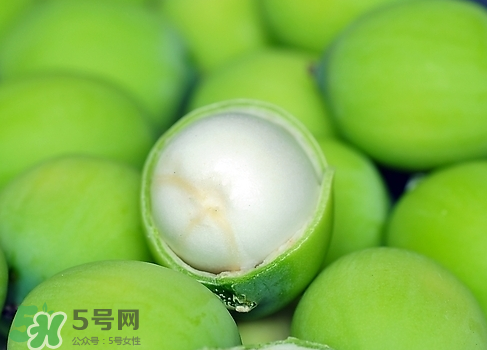 新鮮蓮子多少錢一斤？新鮮蓮子哪里有賣？