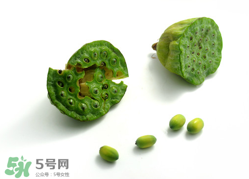 新鮮蓮子可以直接吃嗎？生蓮子可以直接吃嗎？