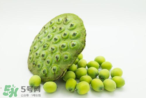 新鮮蓮子可以直接吃嗎？生蓮子可以直接吃嗎？