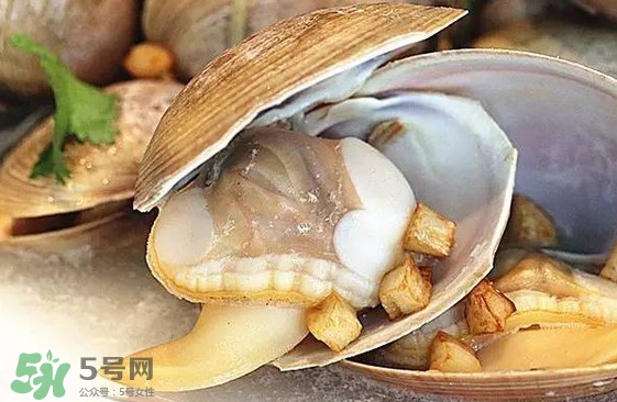 蜆子是蛤蜊嗎？蜆子和文蛤怎樣區(qū)別