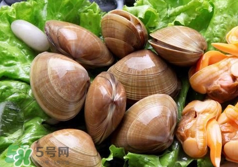 蜆子什么樣的是活的？蜆子開口是死還是活