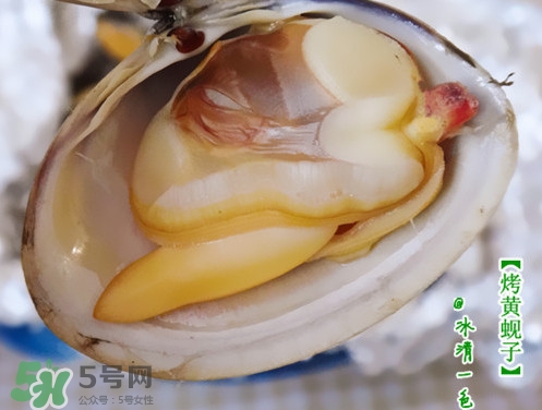 蜆子什么樣的是活的？蜆子開口是死還是活