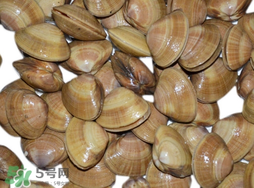 蜆子是花甲嗎？蜆子是海鮮嗎？