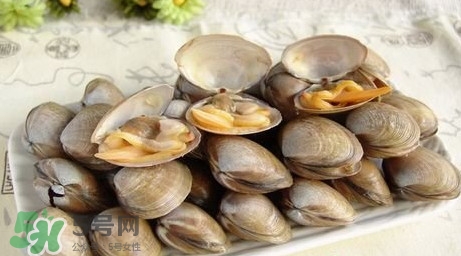 蜆子是寒性的嗎？蜆子什么人不能吃