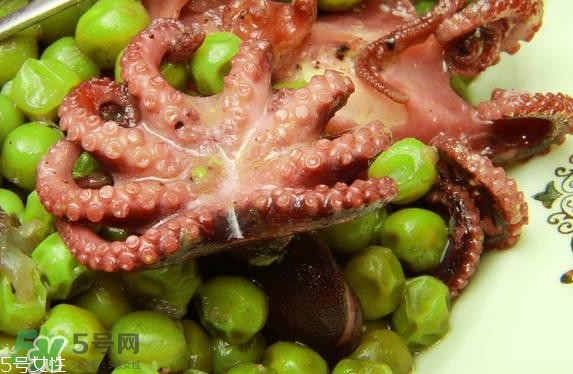 八爪魚多少錢一斤？章魚多少錢一斤