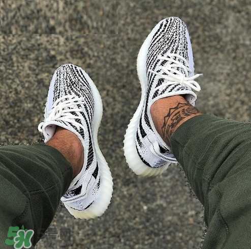 adidas yeezy 350 v2 boost zebra白斑馬市場價多少錢？
