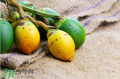 檳榔什么味道？正宗的檳榔是什么味道？