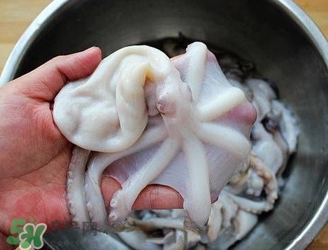 八帶魚怎么洗？八爪魚怎么處理干凈