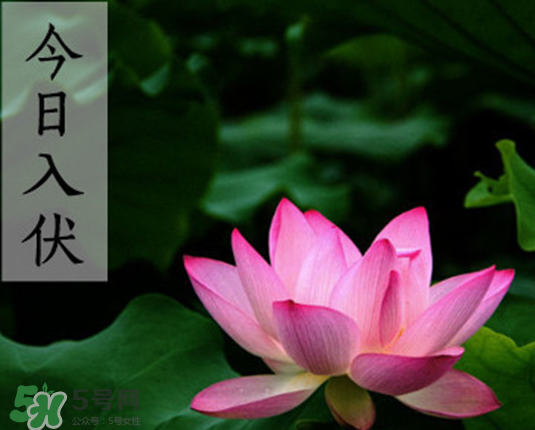 2017年頭伏是幾月幾號(hào)？2017年入伏第一天是幾月幾號(hào)？