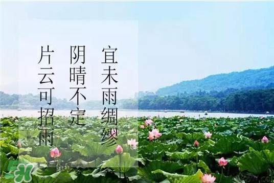 2017年幾月幾號(hào)入伏？入伏是幾月幾號(hào)2017？