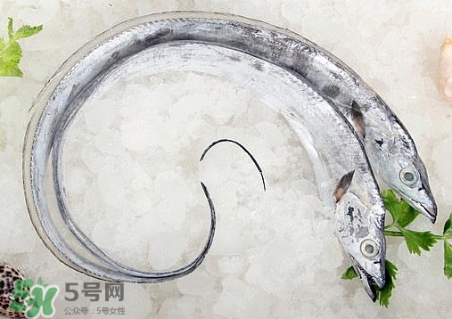 帶魚是深海魚嗎？帶魚是海鮮嗎