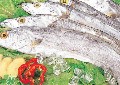 帶魚是咸的嗎？帶魚是無鱗魚嗎