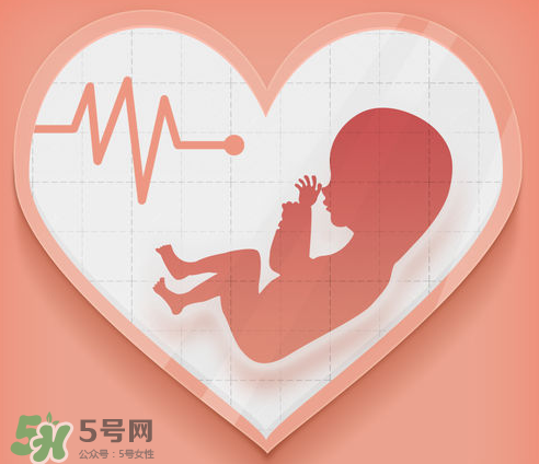 胎心儀可以天天用嗎？胎心儀的使用頻率