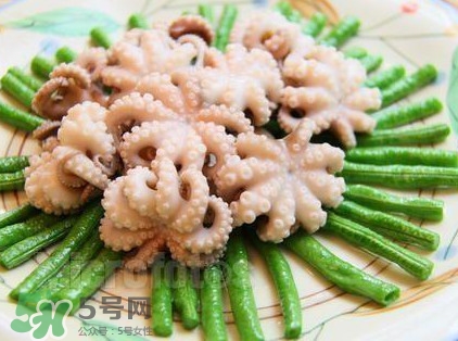 八爪魚頭里面的能吃嗎？八爪魚的墨汁可以吃嗎