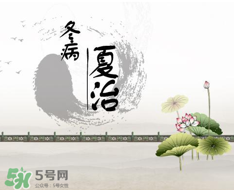 2017年三伏貼什么時候貼？2017年三伏貼貼幾天？