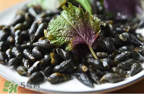 紫蘇是什么植物？紫蘇是發(fā)物嗎？
