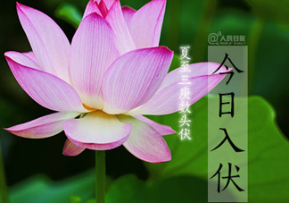 2017年幾月幾號(hào)入伏？入伏是幾月幾號(hào)2017？