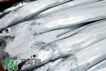 帶魚是深海魚嗎？帶魚是海鮮嗎