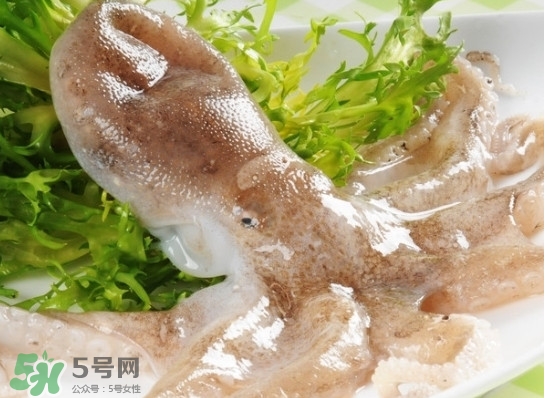 八帶魚怎么洗？八爪魚怎么處理干凈